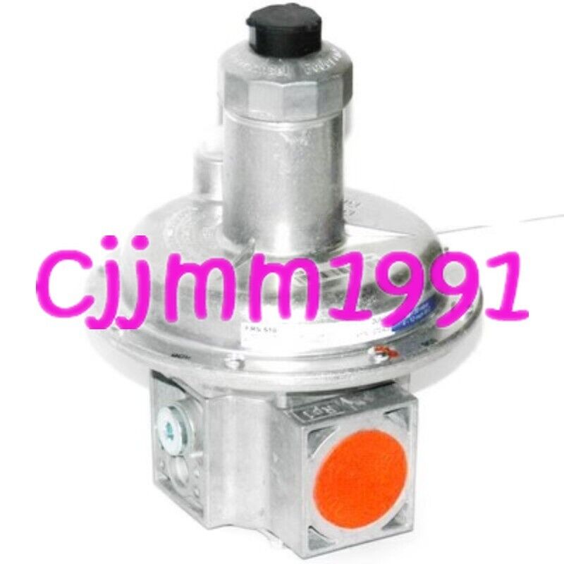 Pressure Regulator 503 - DUNGS
