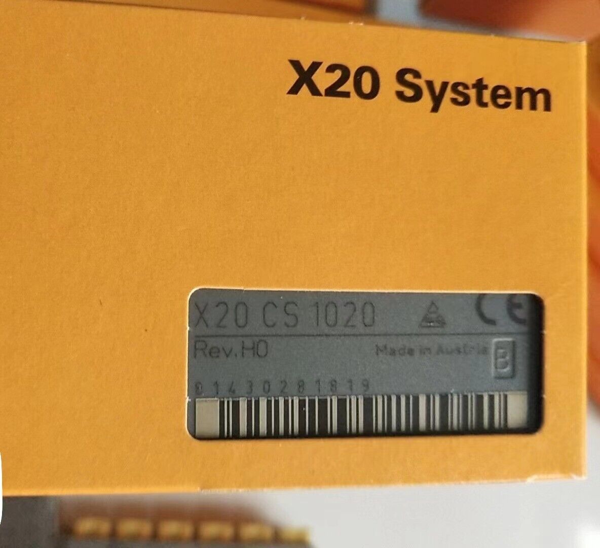 B&R RTD Module X20CS1020 New In Box X20CS1020 - B&R