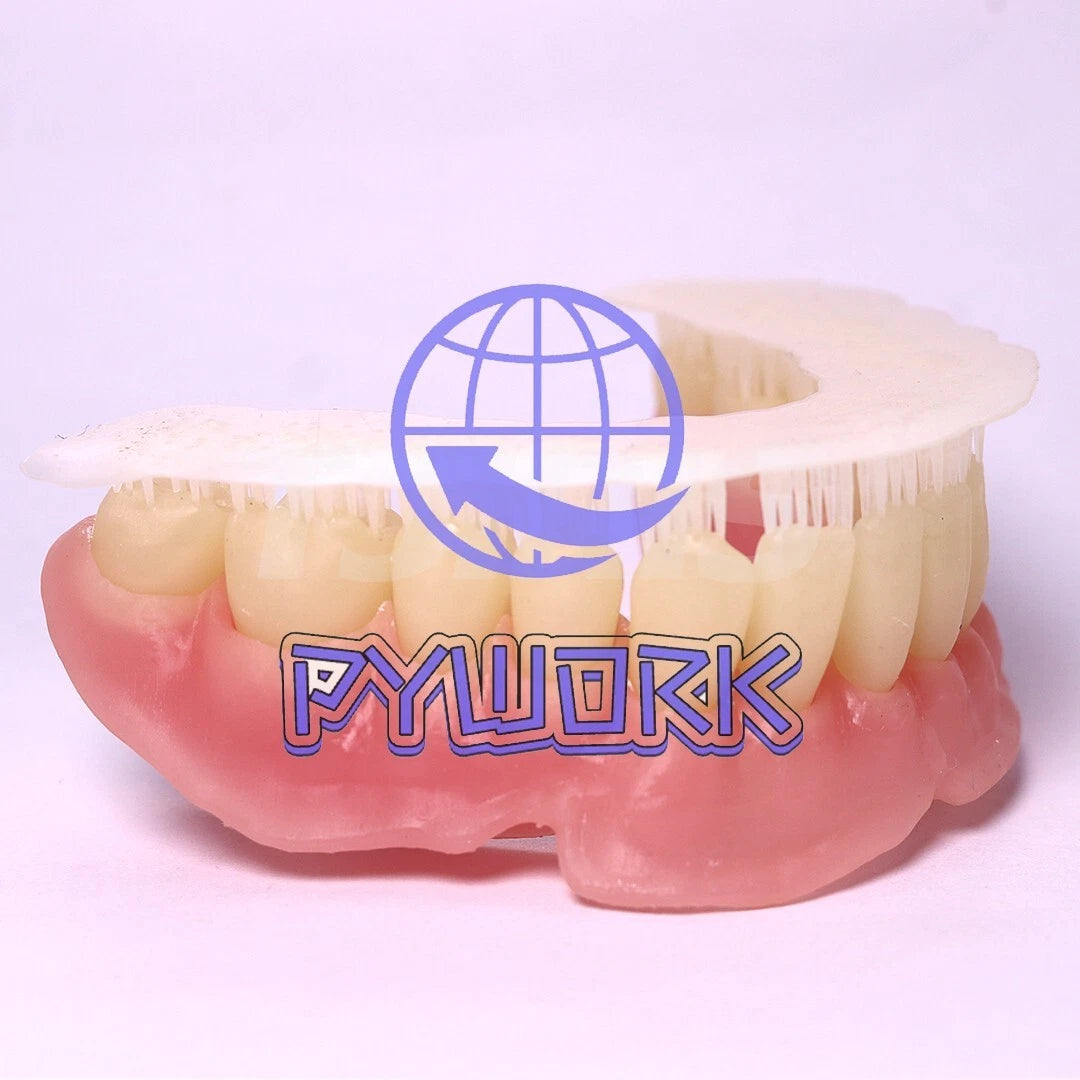 LCD DLP Dental 3D Printer Temporary Teeth Resin Crown Bridge 3D Resin 1kg