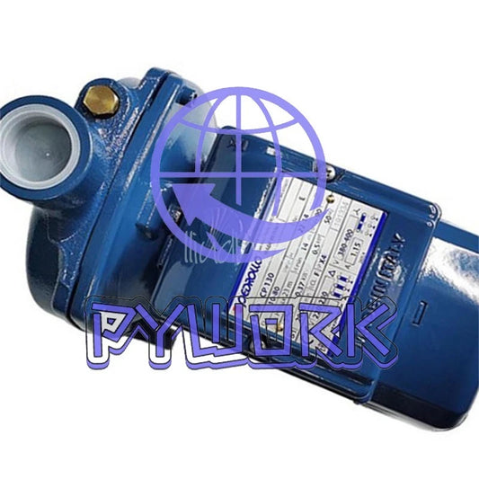 1Pcs PEDROLLO CP130 water pump