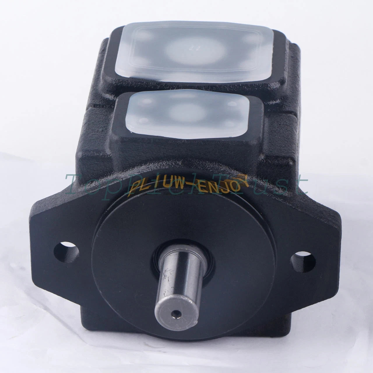 1PC PV2R1-31-F-RAA-43 Vane pump