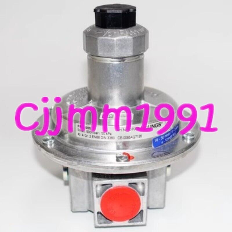Pressure Regulator 503 - DUNGS