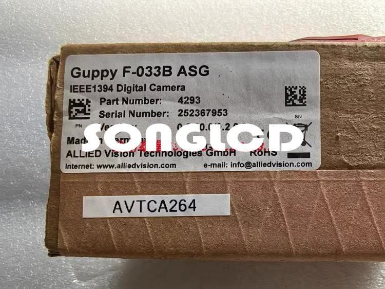 1pcs New Guppy F-033B ASG Aquarium Fish - AQUARIUM FISH CO.