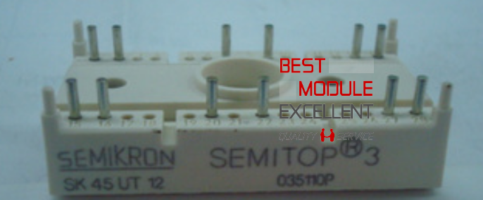 new 1PCS SEMIKRON SK45UT12 power supply module   Quality Assurance