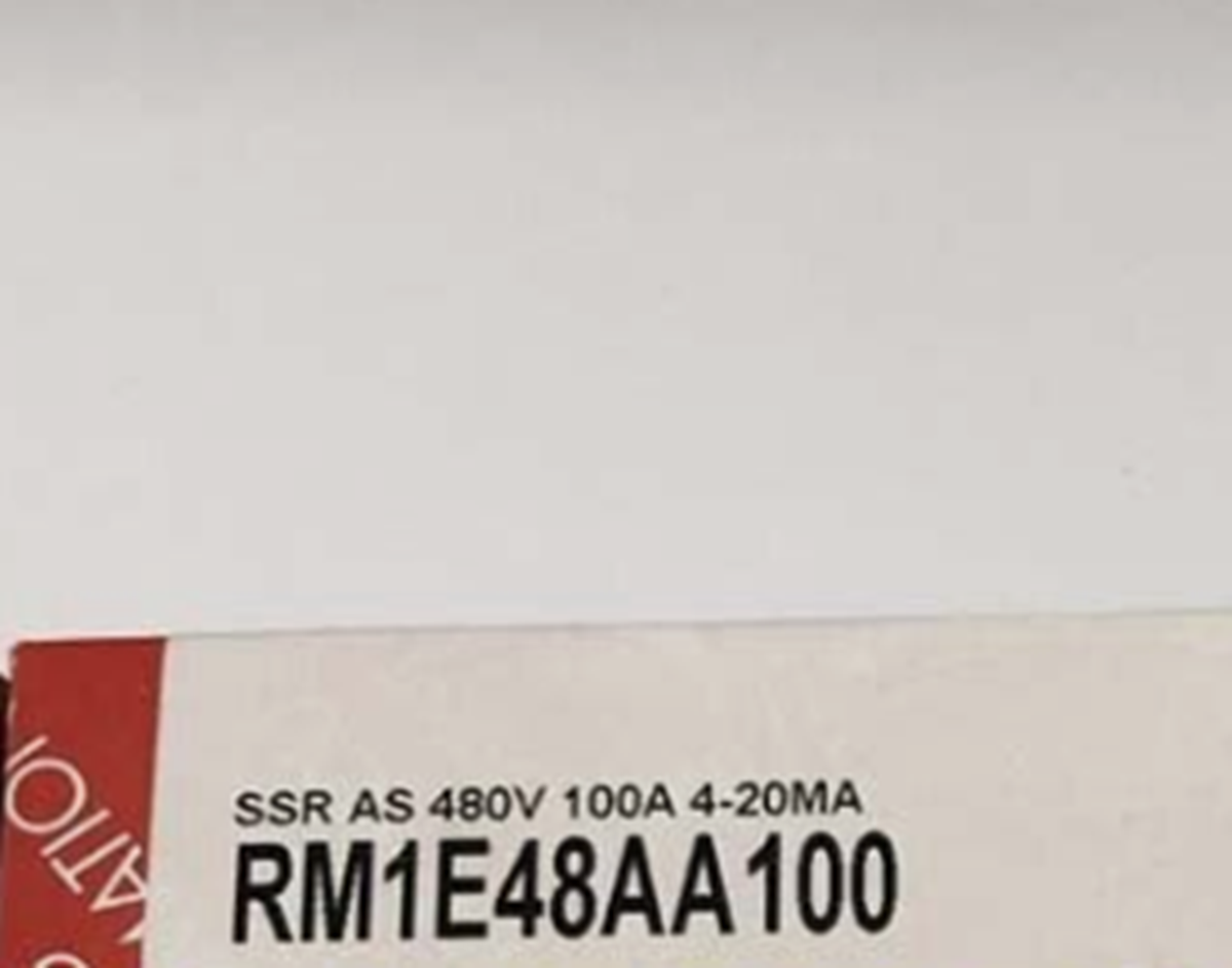 CARLO GAVAAZZI RM1E48AA100 Solid State Relay - CARLO GAVAAZZI
