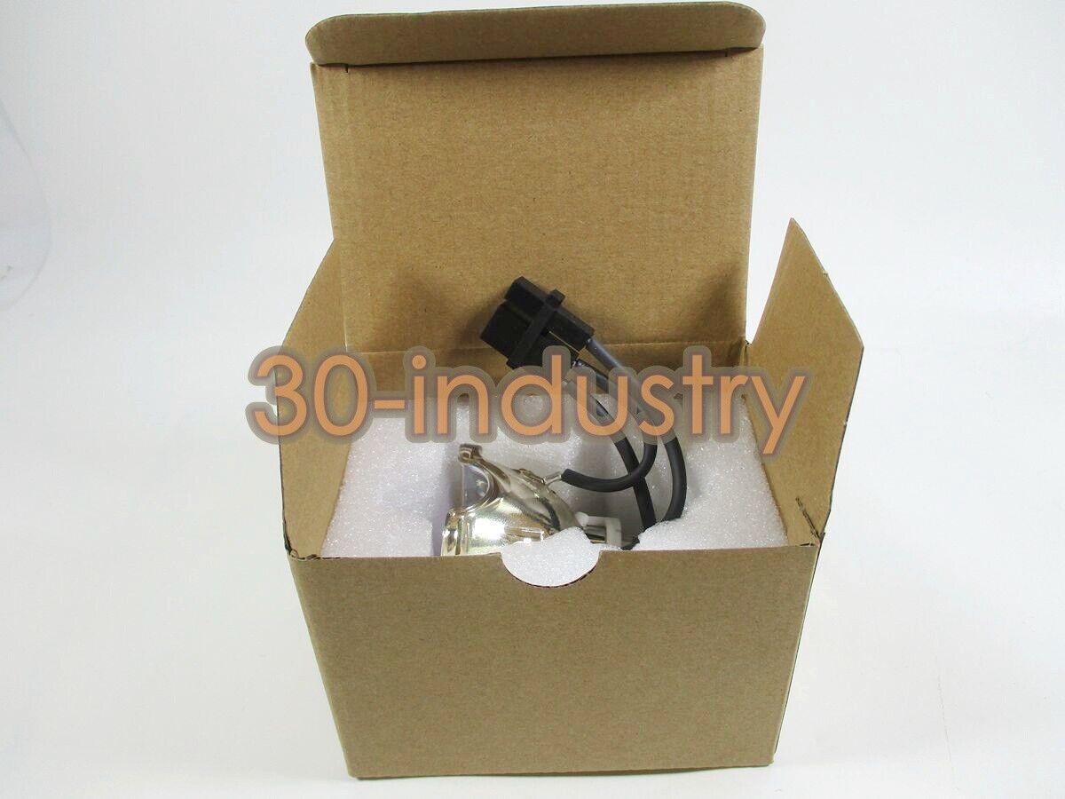 USHIO SHI-130NI Hollow Tungsten Lamp - Special Lamp for Various Use - USHIO