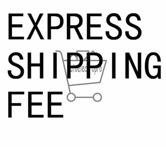 Express shipping #060