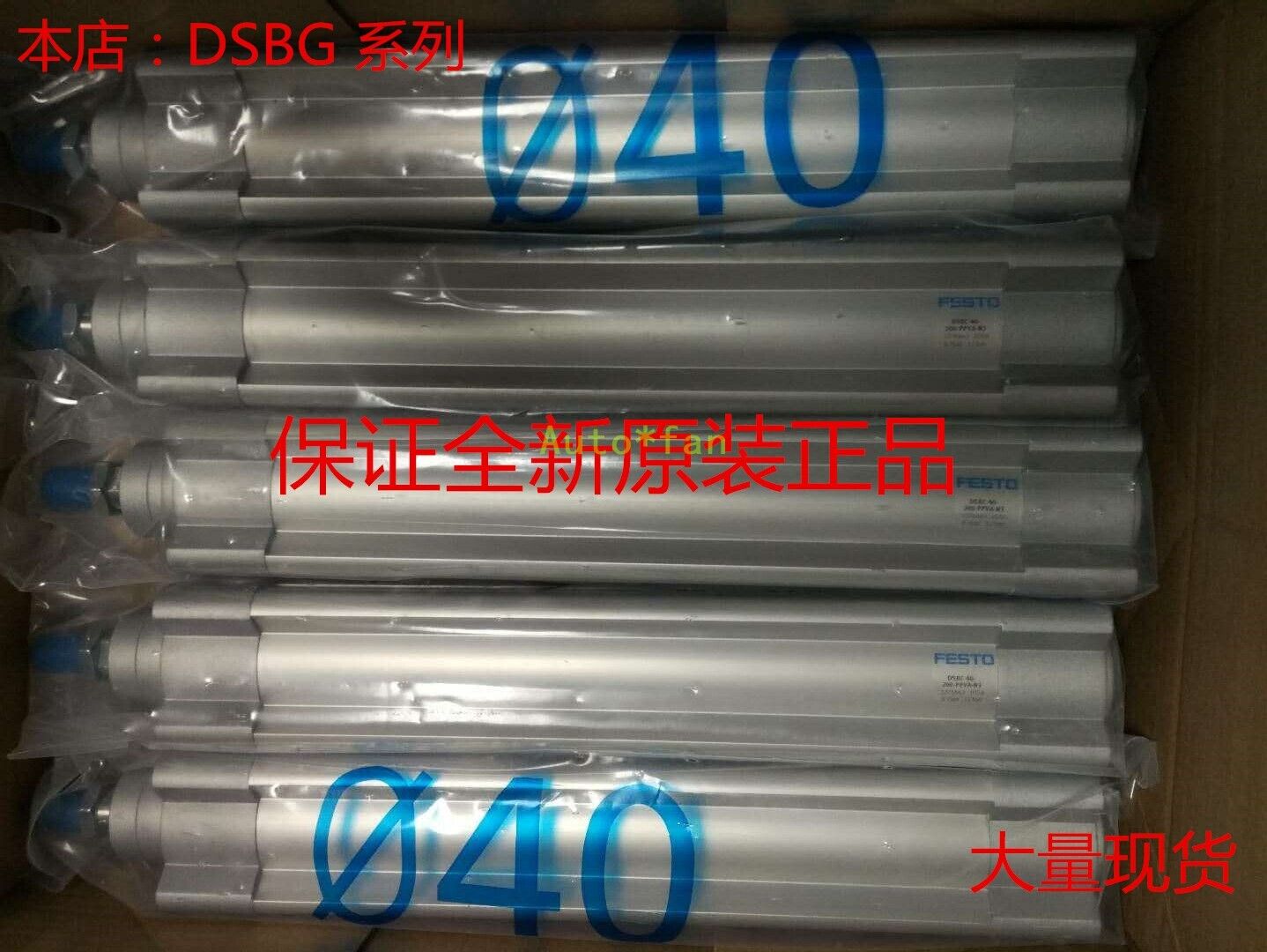 cylinder dsbc-63-160-ppva-n3 - INNOVATIVE DESIGN SOLUTIONS