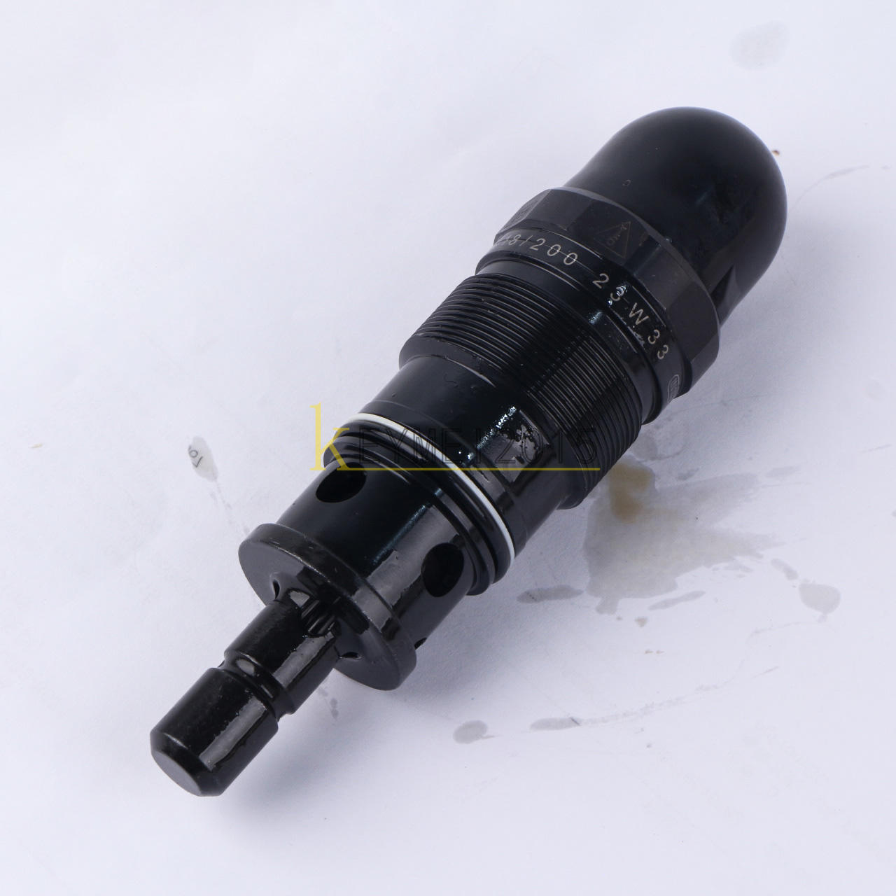 Rexroth R900424269 DBDS20K1X/200 - REXROTH