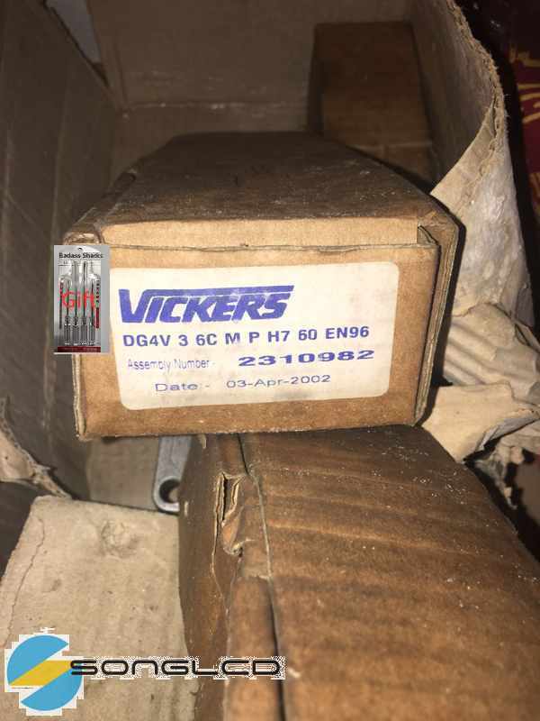 1PCS New VICKERS DG4V 3 6C M P H7 60 EN96 - VICKERS