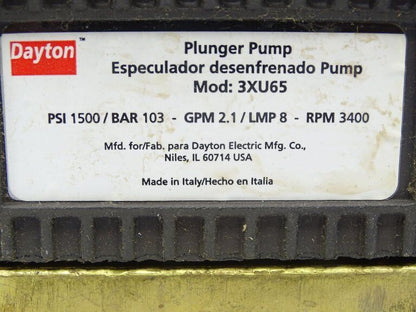 DAYTON 3XU65 Plunger Pump (129248) – New - DAYTON