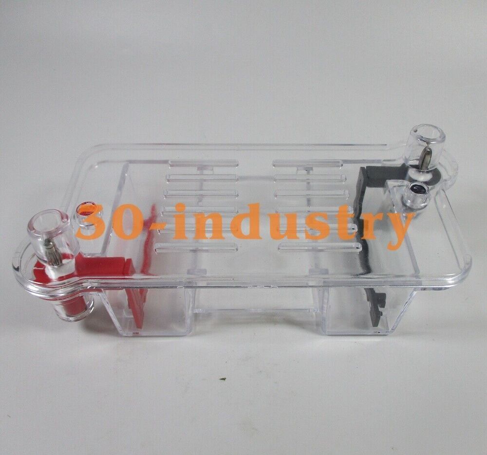 Horizontal Electrophoresis Tank High School Biological Equipment 122-3122 27022