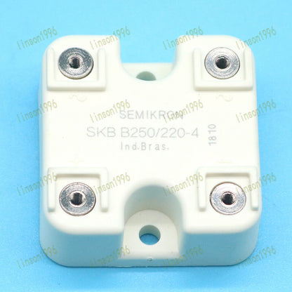Semikron Power Supply Module SKBB250/220-4 - SEMIKRON
