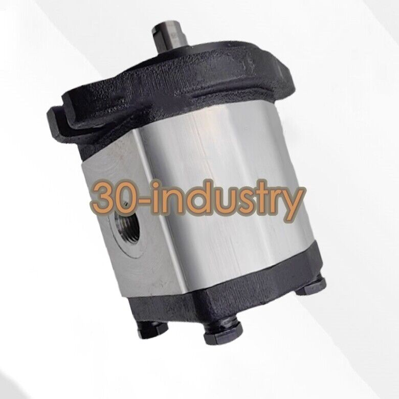 1PCS New 2PF10L15P02 Hydraulic Oil Gear Pump - Premium Quality - KOEED