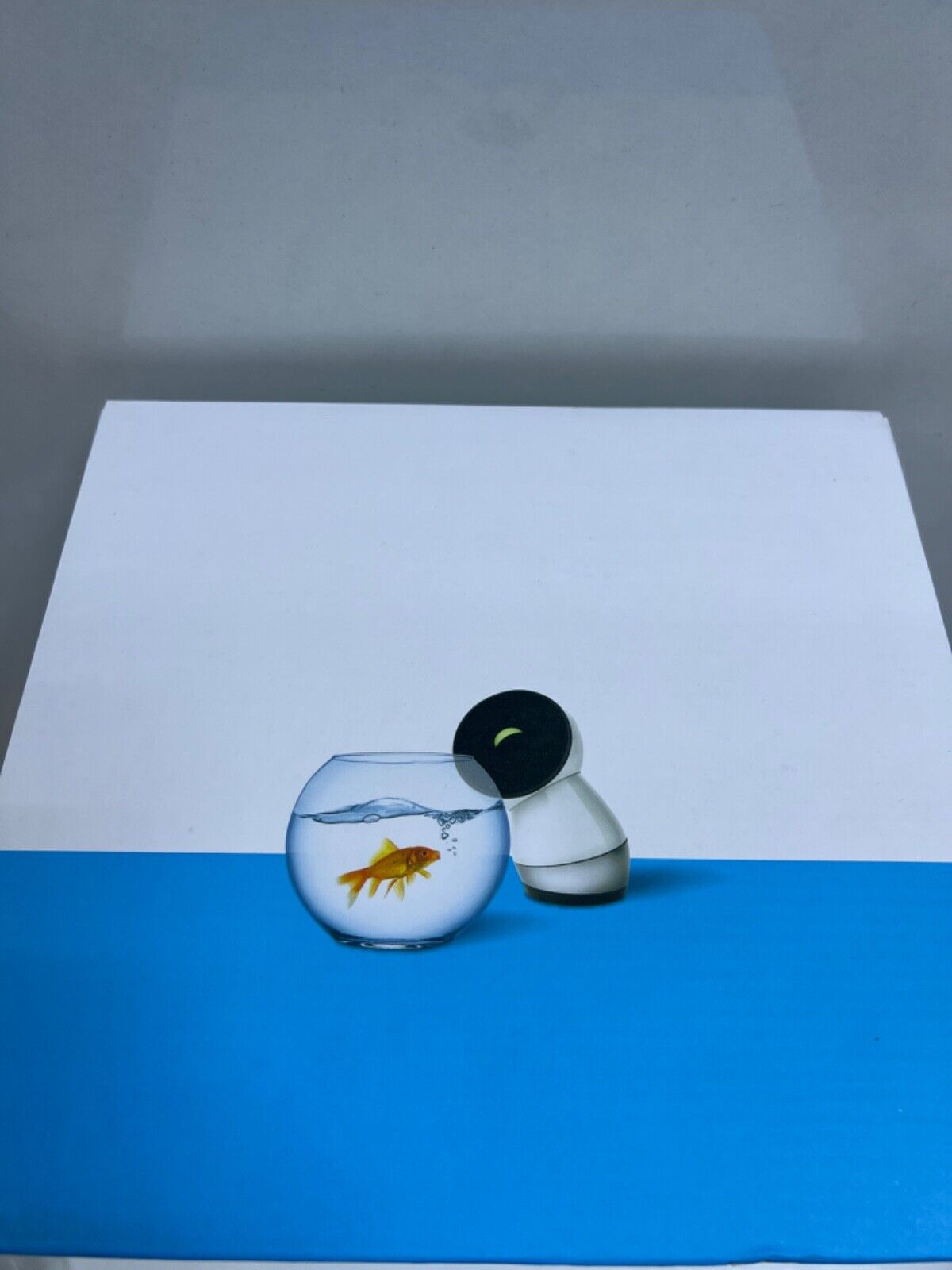 new Jibo Robot JW1000003 ,The World's First Social Robot -White - JIBO