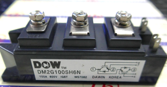 ABBYYLabs DM2G100SH6N IGBT Module, High-Efficiency IGBT Power Module for Industrial Applications - ABBYYLABS