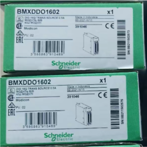 Schneider BMXDDO1602 PLC Output Module - SCHNEIDER