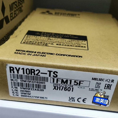 1PC Mitsubishi RY10R2-TS RY10R2TS PLC Module ping