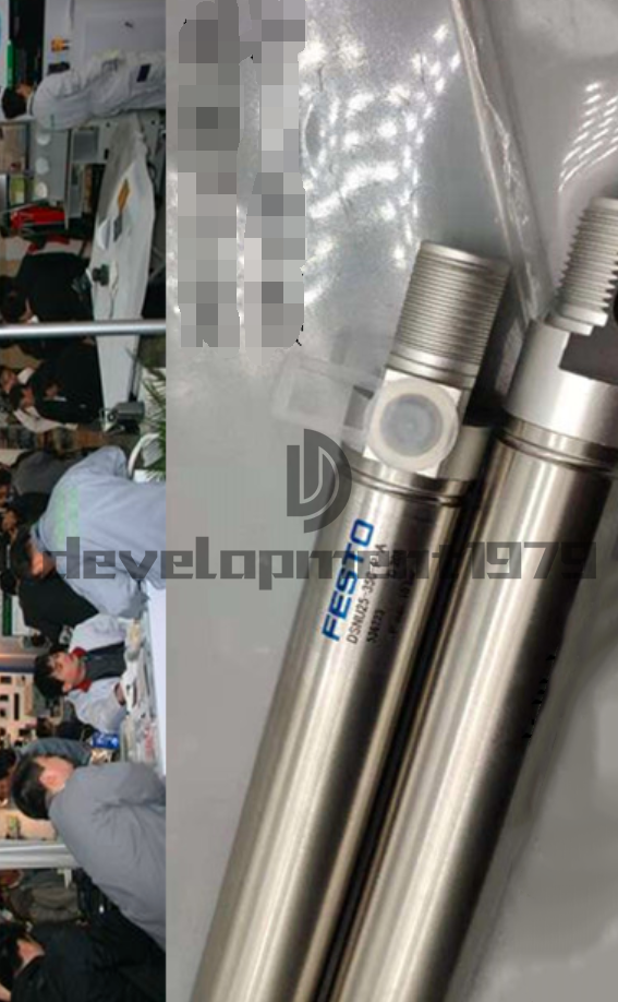 FESTO DSNU-25-350-P-A Cylinder - FESTO