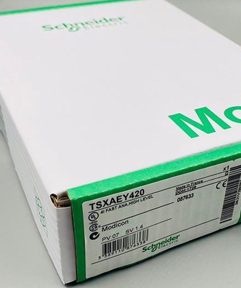 1PC Schneider TSXAEY420 PLC Module with Ping Support - SCHNEIDER
