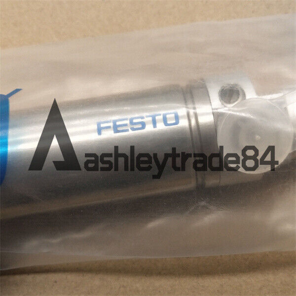 FESTO DSW-50-25 Cylinder - FESTO