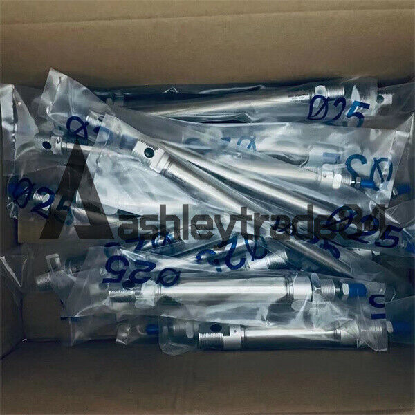 FESTO DSW-50-25 Cylinder - FESTO