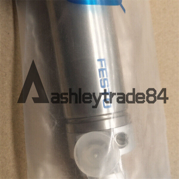 FESTO DSW-50-25 Cylinder - FESTO