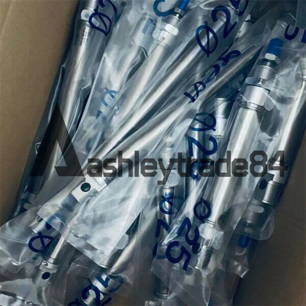 FESTO DSW-50-25 Cylinder - FESTO